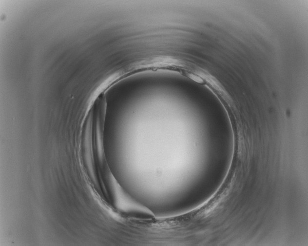 X0000080710850200612221141