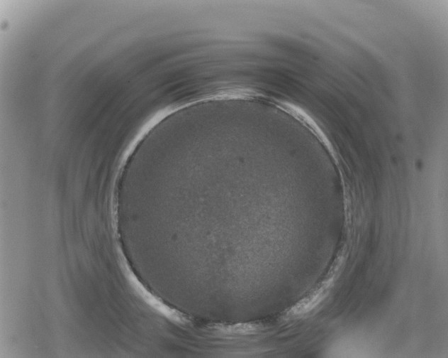 X0000080710851200612221141