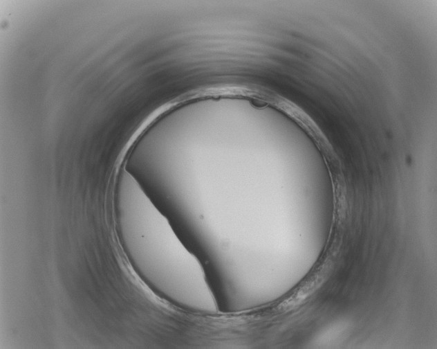 X0000080710852200612221141