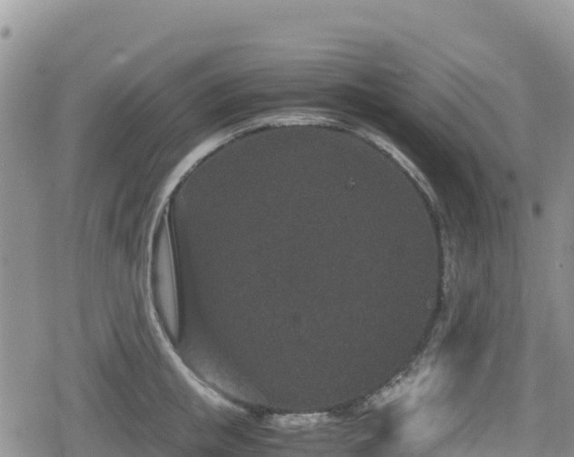 X0000080710853200612221141