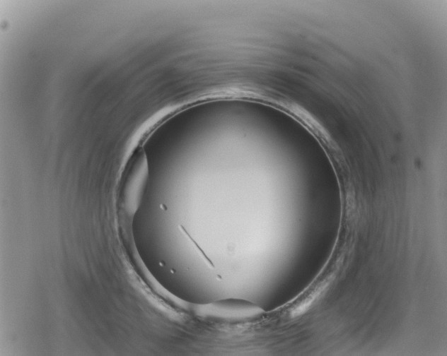 X0000080710854200612221141