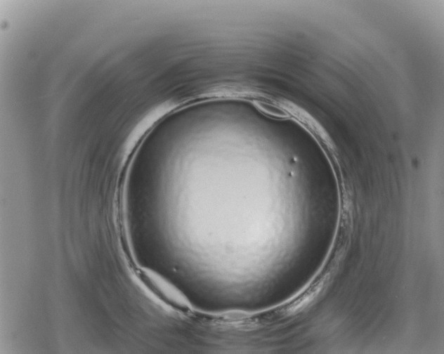 X0000080710855200612221141