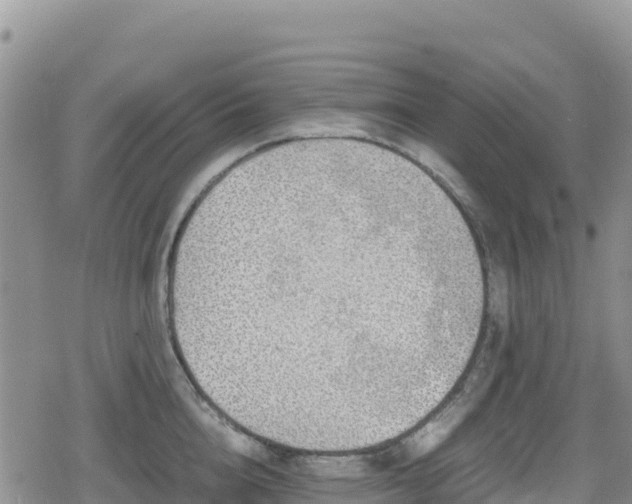 X0000080710856200612221141