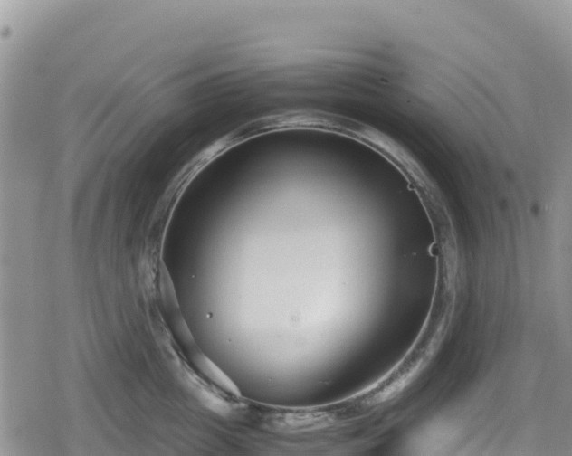 X0000080710857200612221141