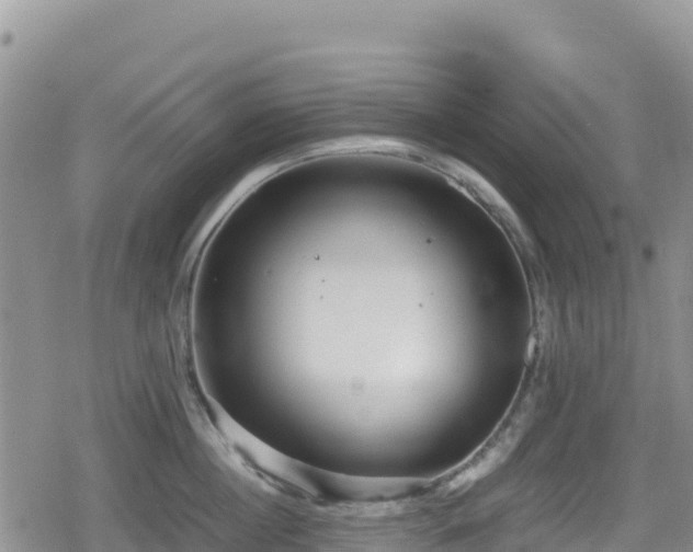 X0000080710860200612221141