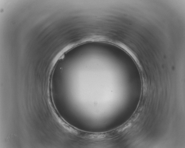 X0000080710861200612221141