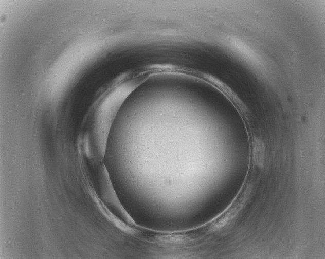 X0000080710862200612221141