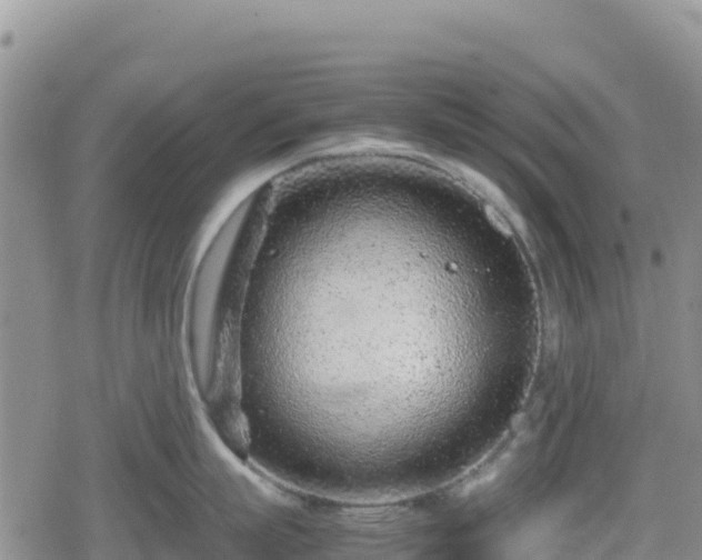 X0000080710863200612221141