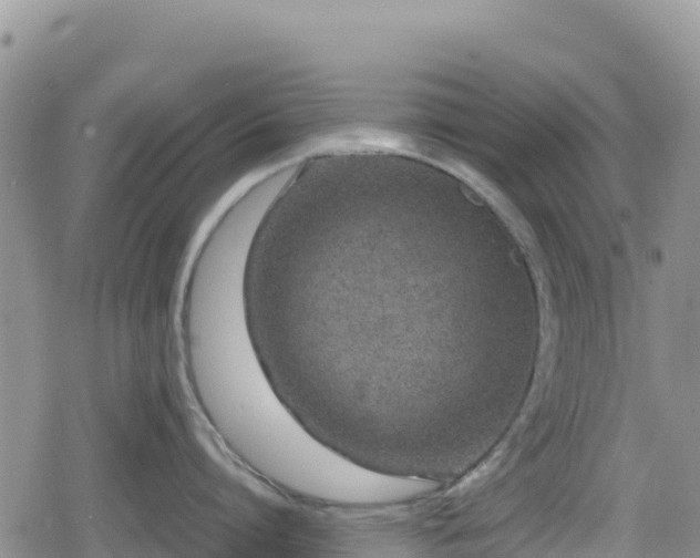 X0000080710864200612221141