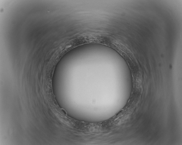 X0000080710865200612221140