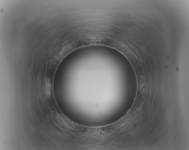 X0000080710866200612221140