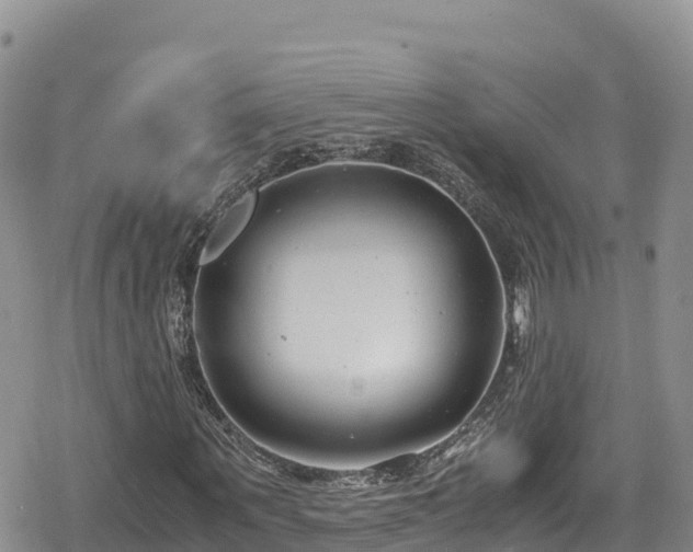 X0000080710867200612221140