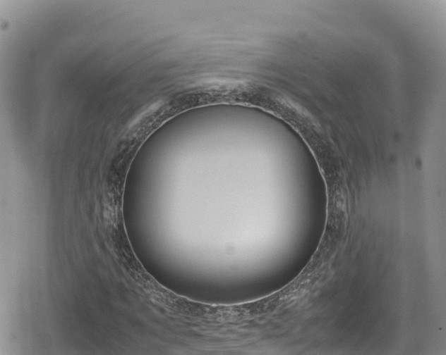 X0000080710869200612221140