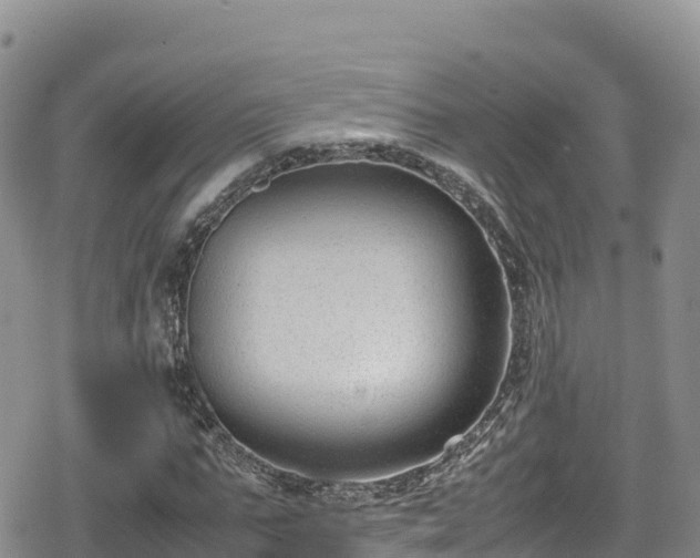 X0000080710871200612221140