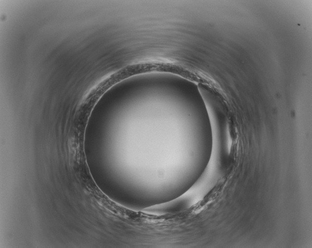 X0000080710872200612221140