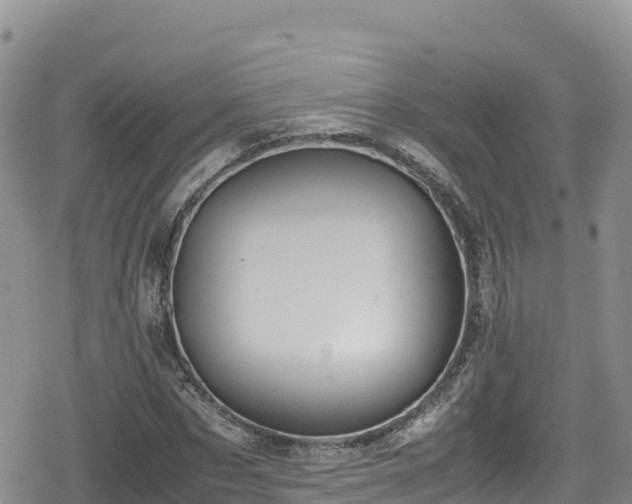 X0000080710873200612221140