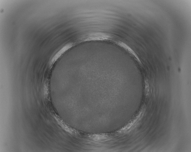 X0000080710874200612221140