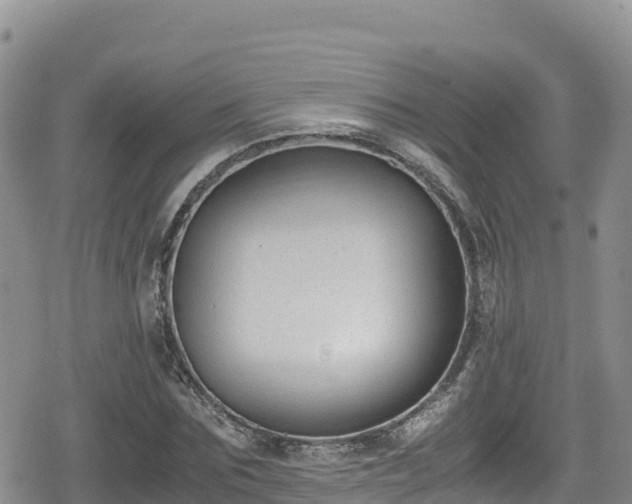 X0000080710875200612221140