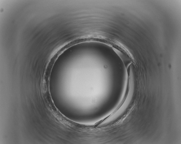 X0000080710876200612221140