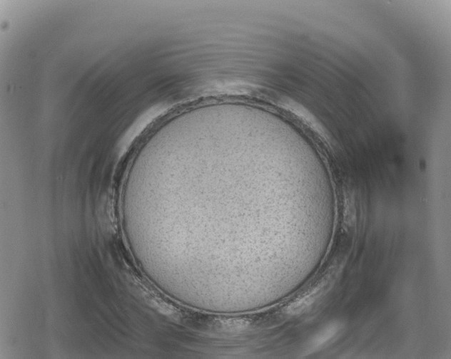 X0000080710878200612221140