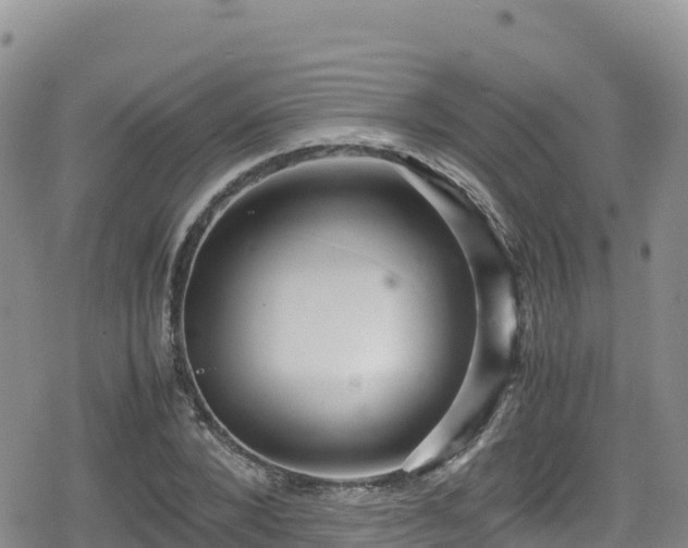 X0000080710880200612221140