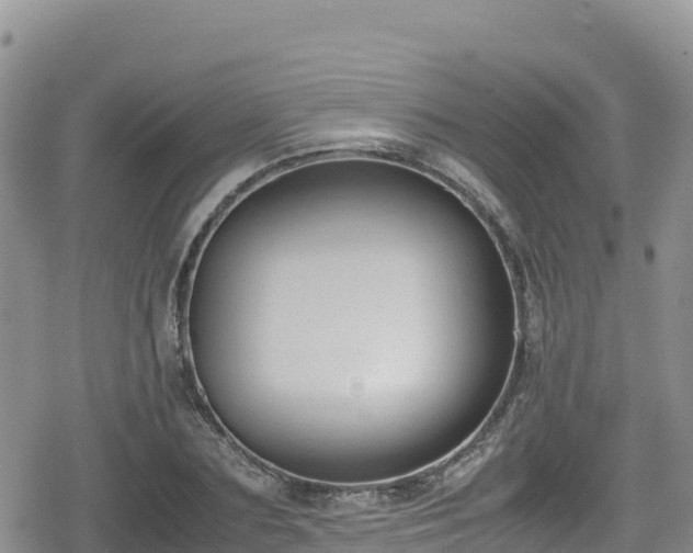 X0000080710883200612221140