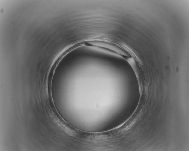 X0000080710884200612221140