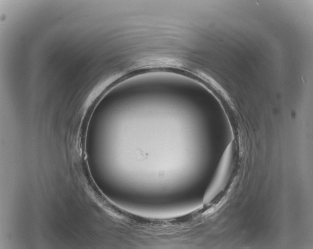 X0000080710885200612221140