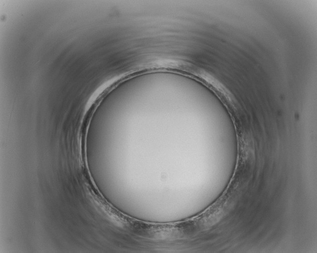 X0000080710886200612221140