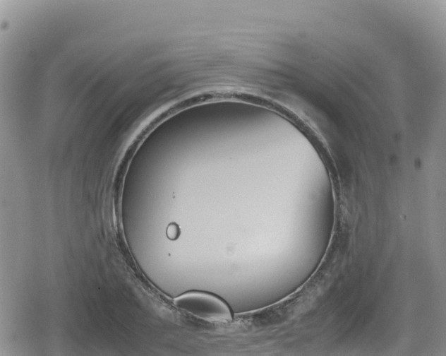 X0000080710887200612221140