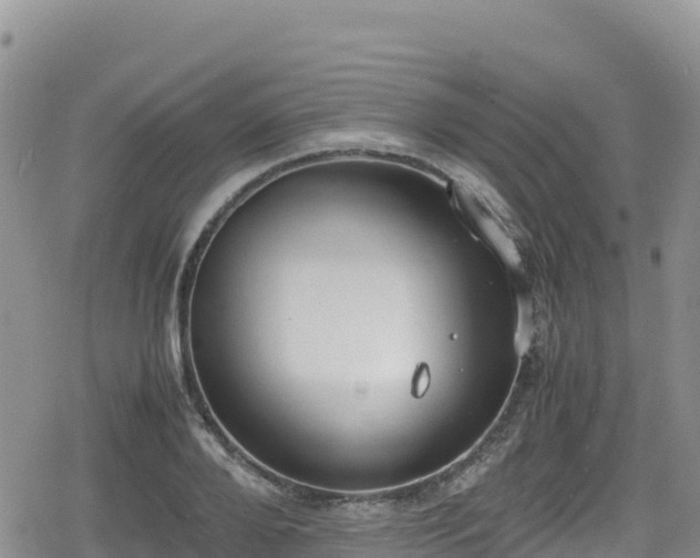 X0000080710888200612221140