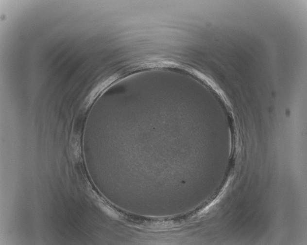 X0000080710889200612221140