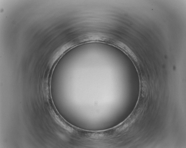 X0000080710890200612221140