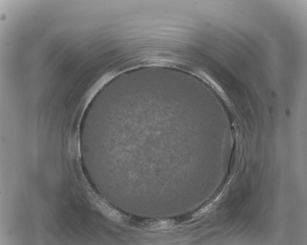 X0000080710891200612221140