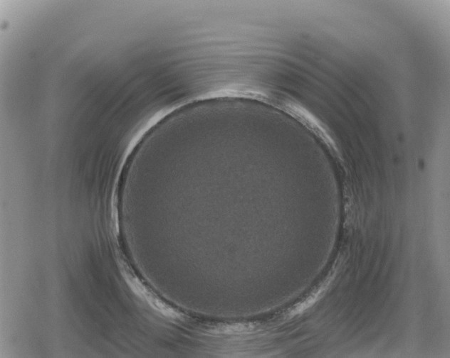 X0000080710892200612221140