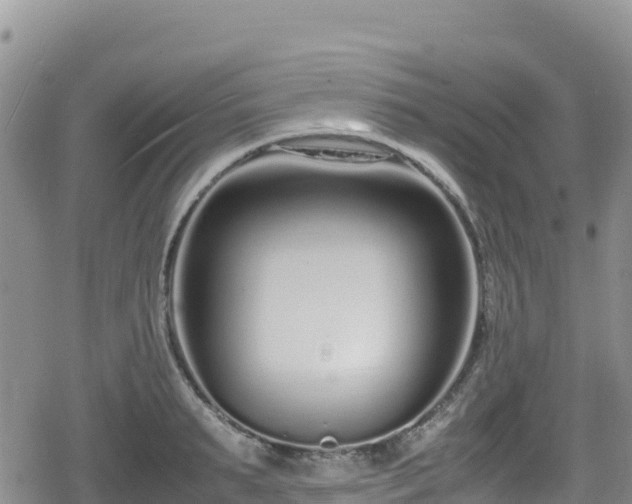 X0000080710895200612221140