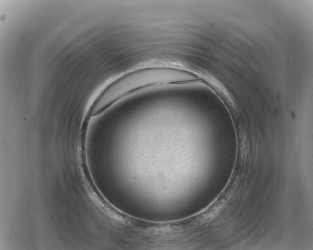 X0000080710896200612221140