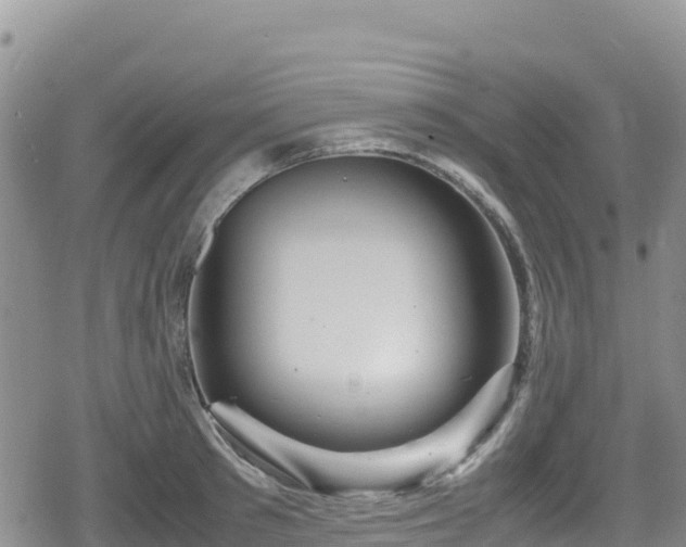 X0000080710897200612221140