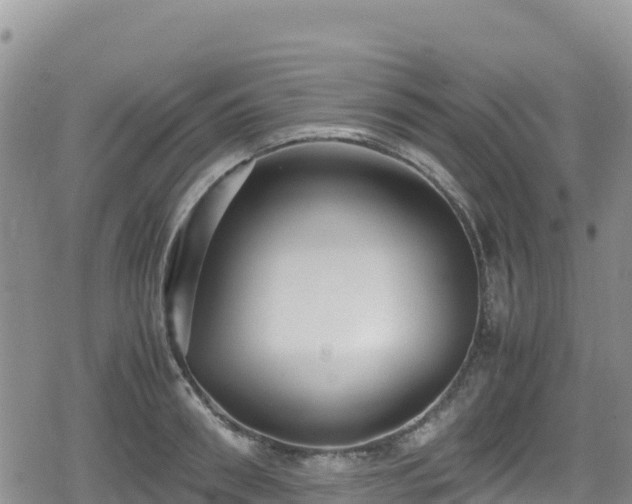 X0000080710898200612221140