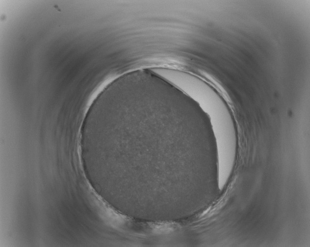 X0000080710899200612221140