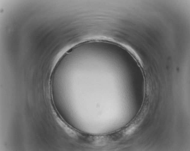 X0000080710903200612221140