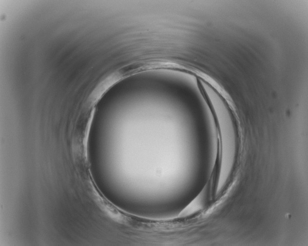 X0000080710905200612221140