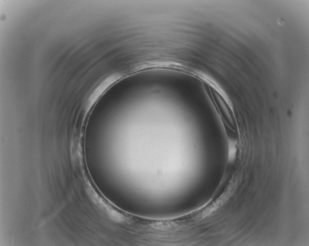 X0000080710906200612221140