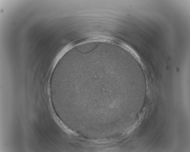 X0000080710907200612221140