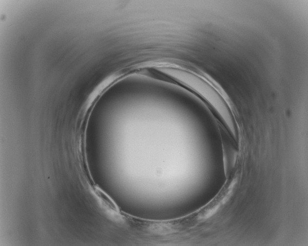 X0000080710909200612221139