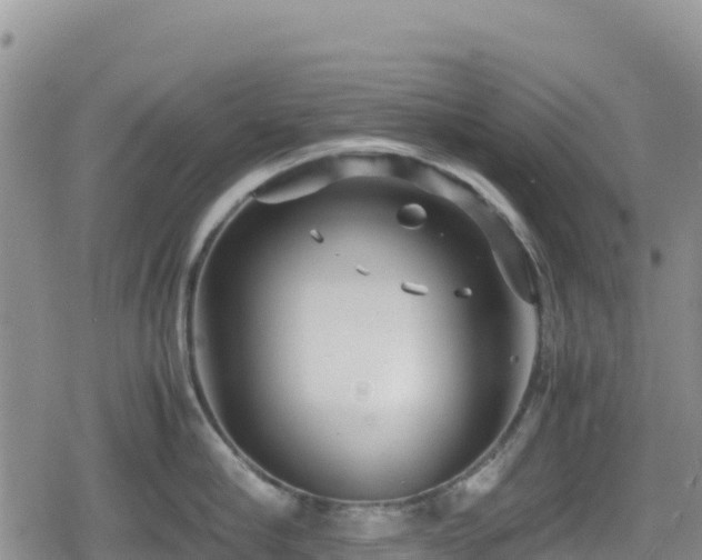 X0000080710910200612221139