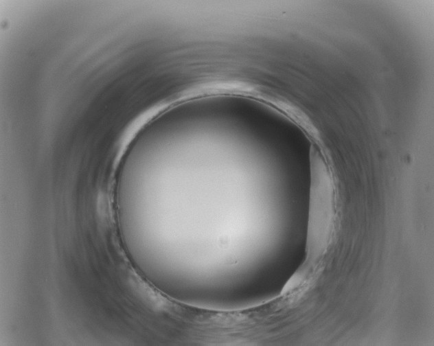 X0000080710912200612221139