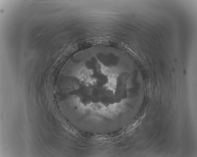 X0000080710913200612221139