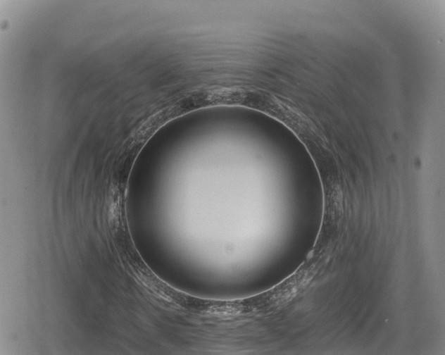 X0000080710914200612221139