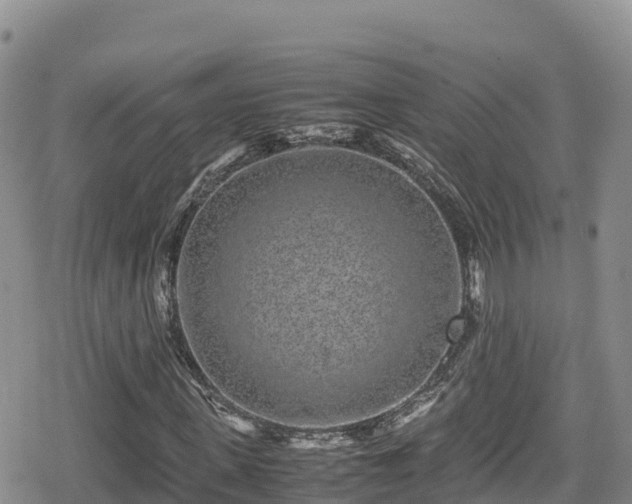 X0000080710915200612221139